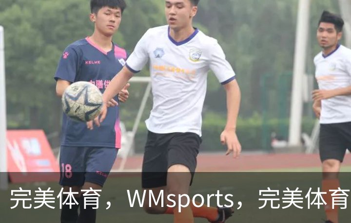 完美体育，WMsports，完美体育官方，完美体育平台，完美体育下载介绍
