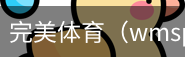完美体育，WMsports，完美体育官方，完美体育平台，完美体育下载